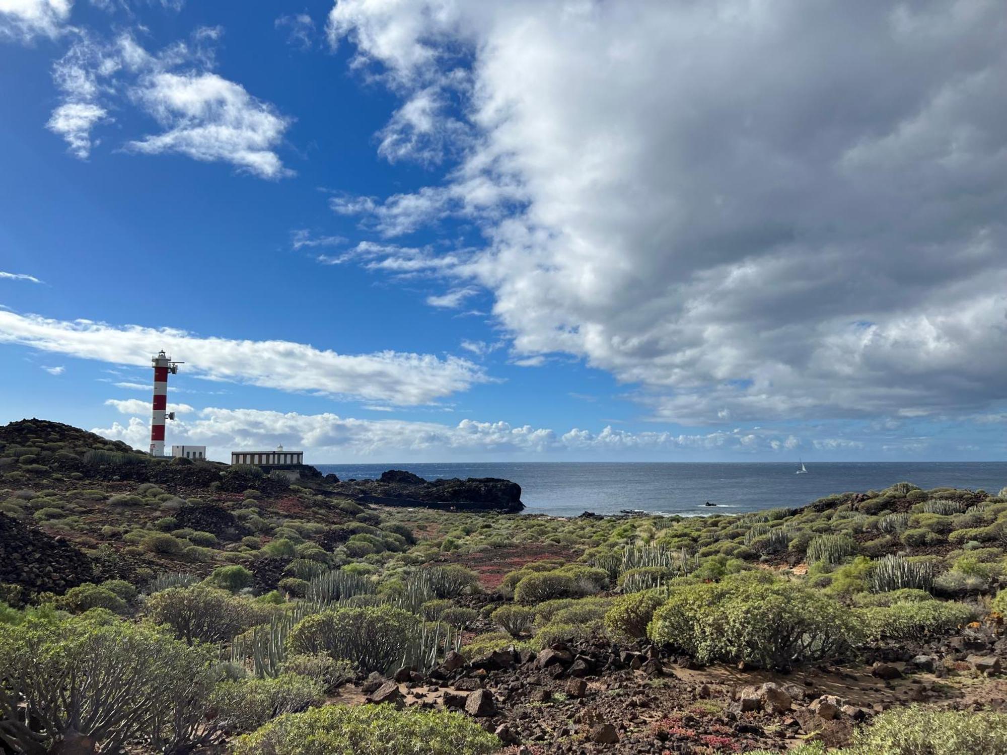 Paraiso Ocean Panorama Leilighet Palm-mar Eksteriør bilde