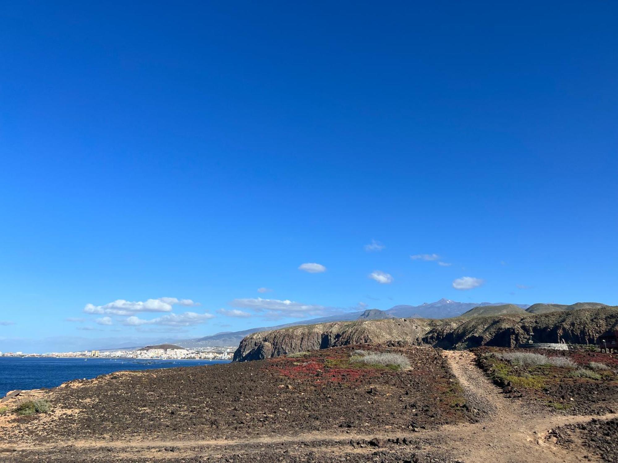 Paraiso Ocean Panorama Leilighet Palm-mar Eksteriør bilde